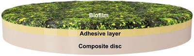 Bioactive Dental Adhesive System With tt-Farnesol: Effects on Dental Biofilm and <mark class="highlighted">Bonding</mark> Properties